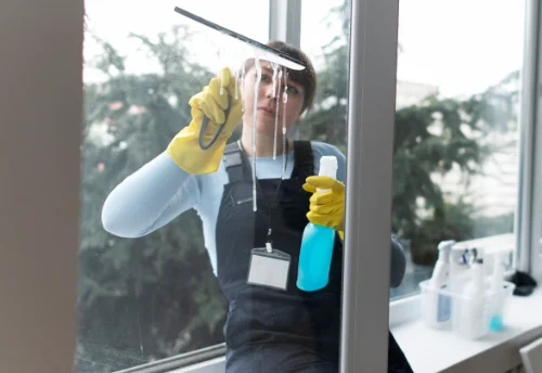 Nettoyage de vitres intérieures et extérieures à Saint-Jeure-d'Ay